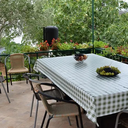 Zjacic Apartman *