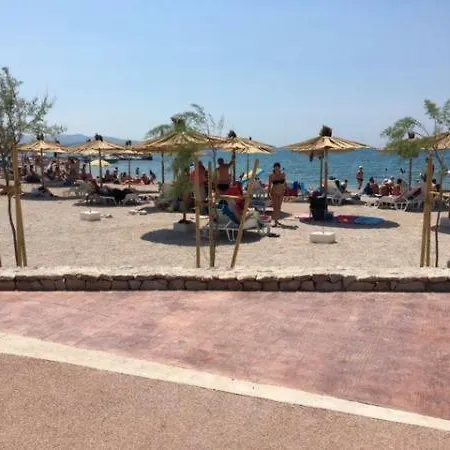 Apartman Zjacic *