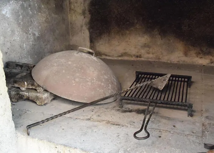 Zjacic Apartman Brodarica (Sibenik-Knin)