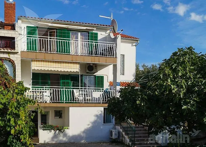 Zjacic ברודאריצה